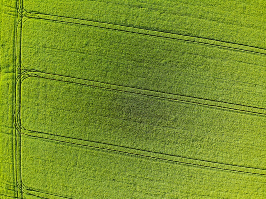 The Straight Answer: Does Brass Jewelry Turn Skin Green?