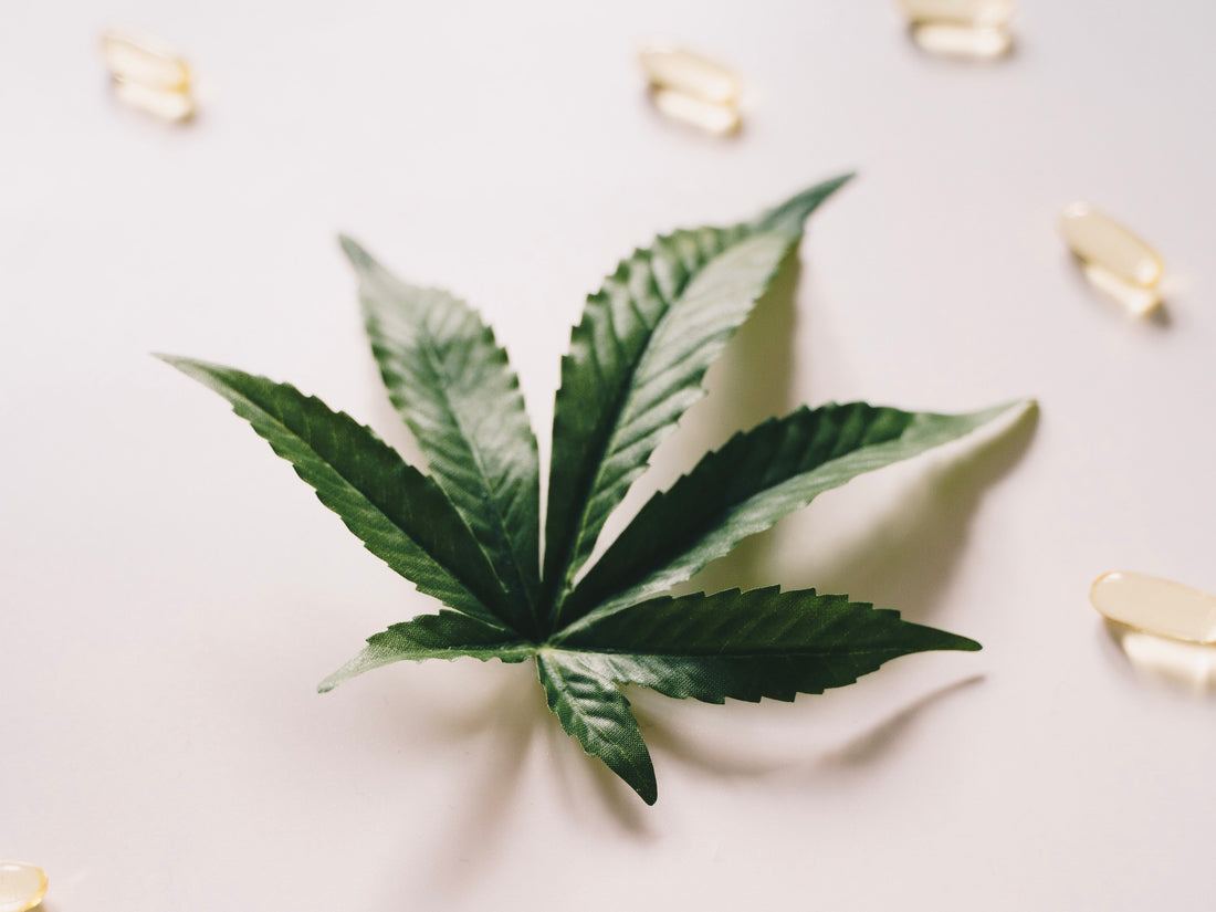 4 Reasons to Keep CBD Legal