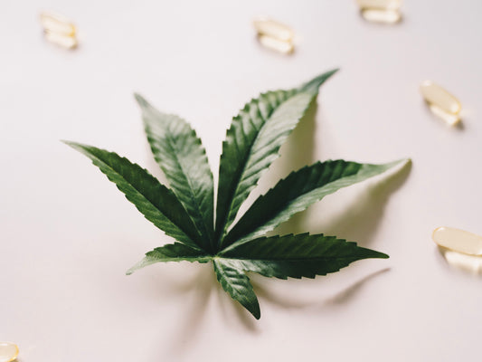 4 Reasons to Keep CBD Legal