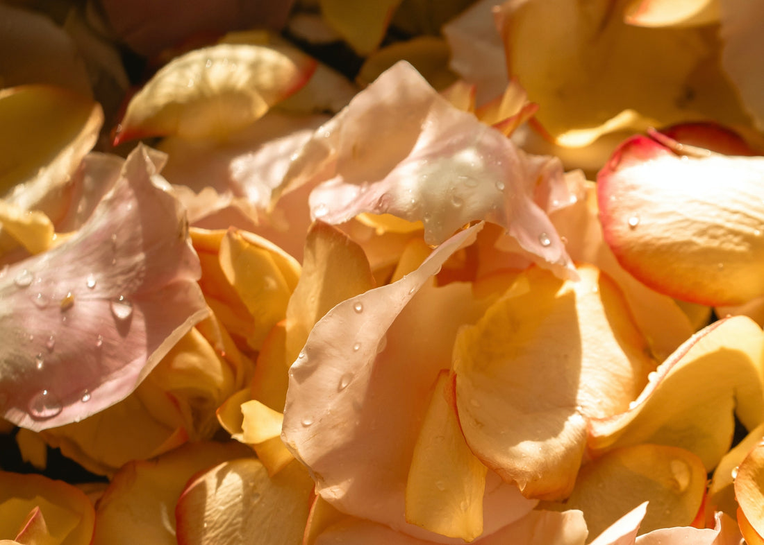 How To Roll A Rose Blunt