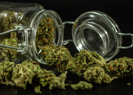 How Long Does Weed Stay Good?