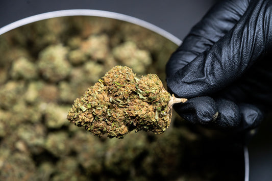 What made cannabis essential in 2020?