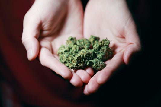 What's to Come for Canadian Cannabis?