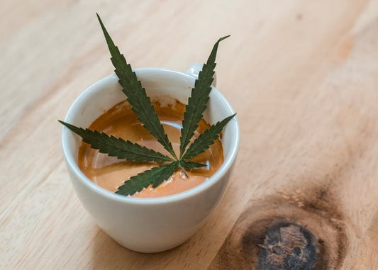 Will Cannabis Lounges Come to Canada?