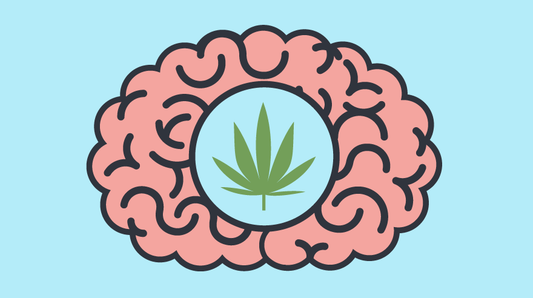 Is Marijuana a Depressant? How It Impacts The Brain